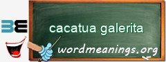 WordMeaning blackboard for cacatua galerita